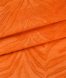 IMAGE_T