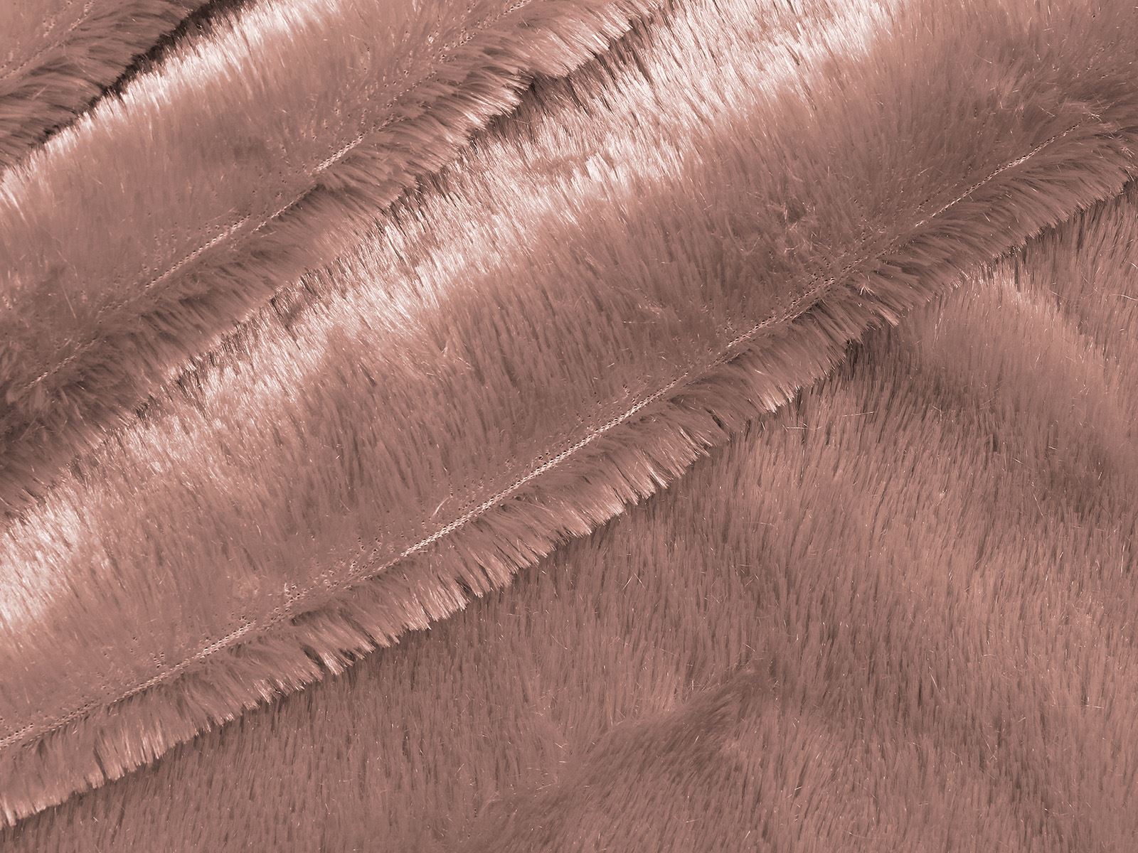 IMAGE_L
