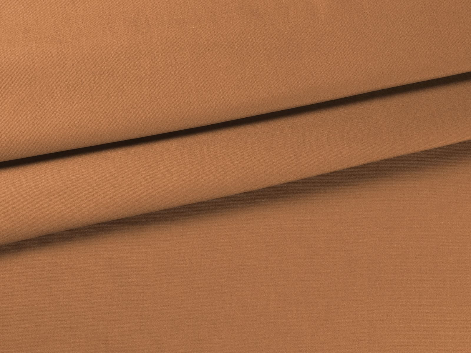 IMAGE_L