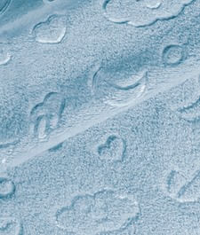 IMAGE_T