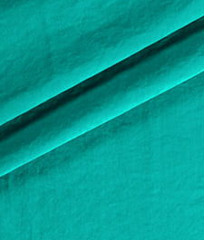 IMAGE_T