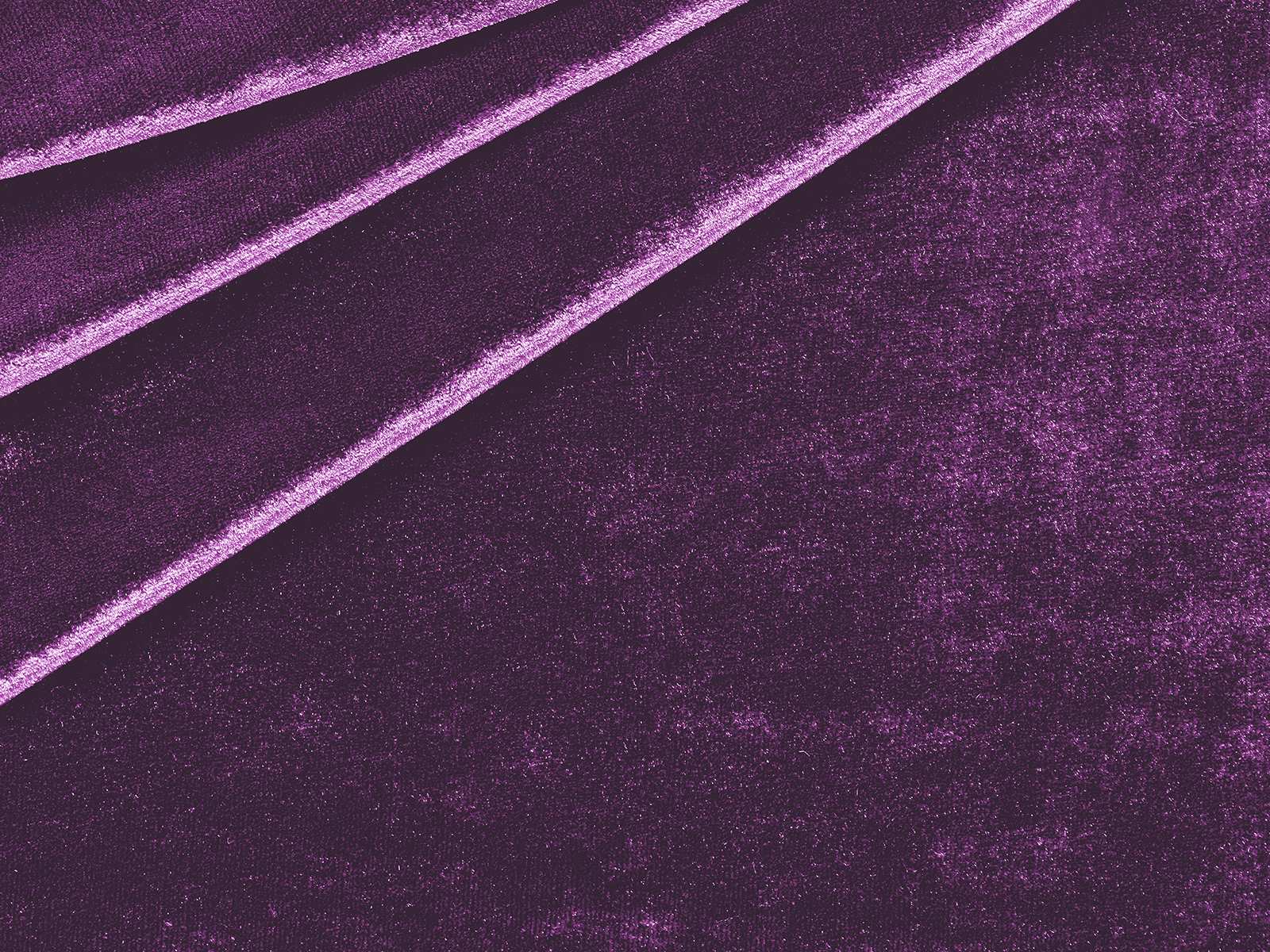 IMAGE_L