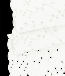 IMAGE_T