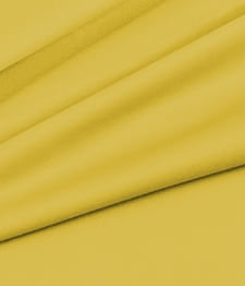 IMAGE_T