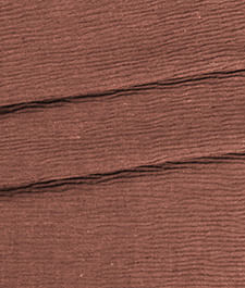 IMAGE_T