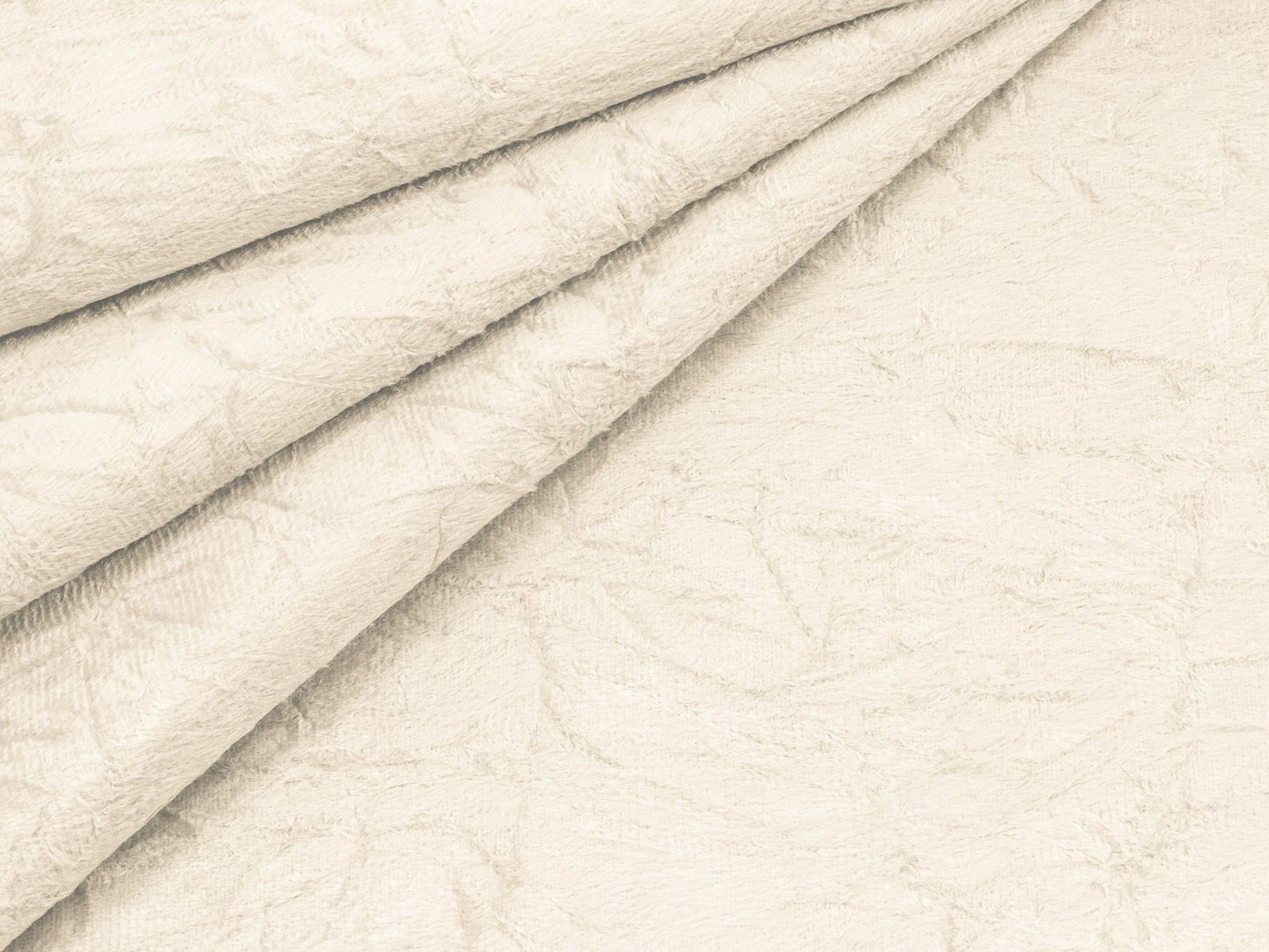 IMAGE_L
