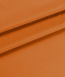 IMAGE_T