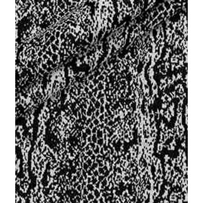 IMAGE_T