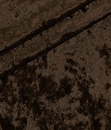 IMAGE_T