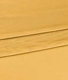 IMAGE_T