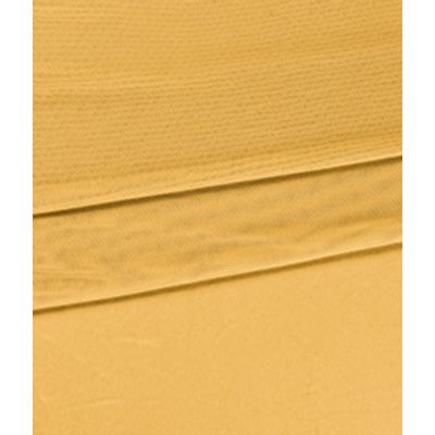 IMAGE_T