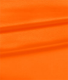 IMAGE_T