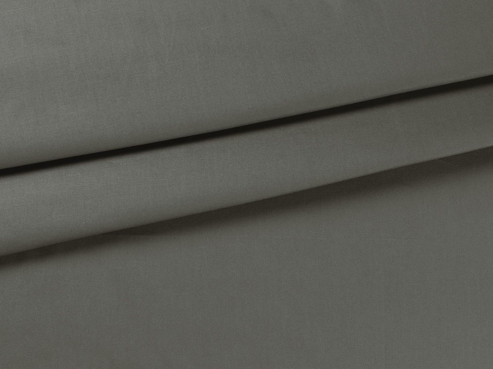 IMAGE_L