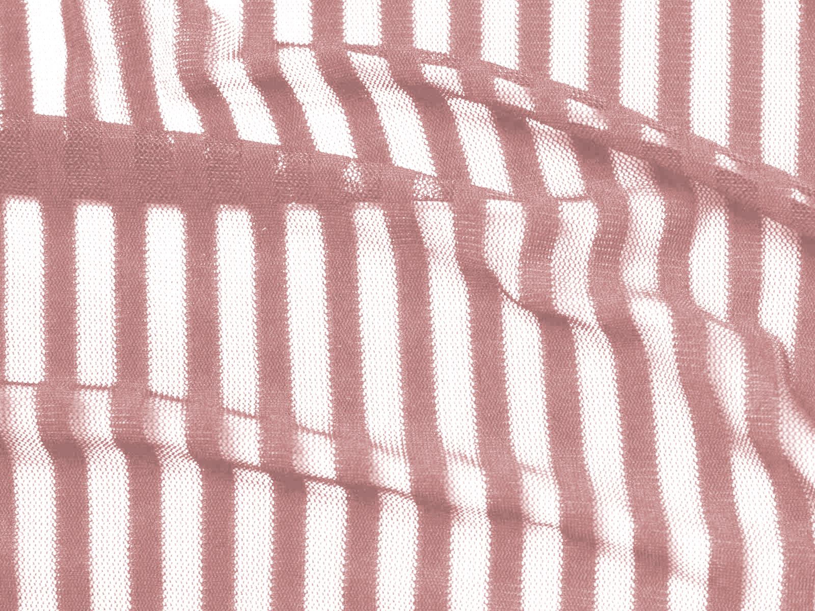 IMAGE_L