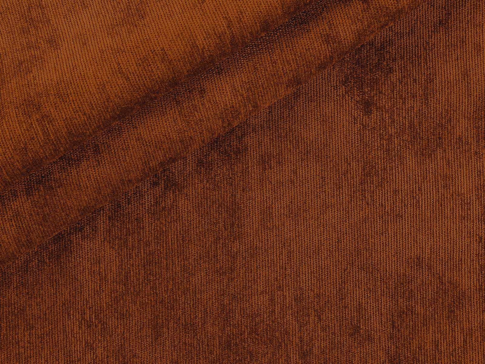 IMAGE_L