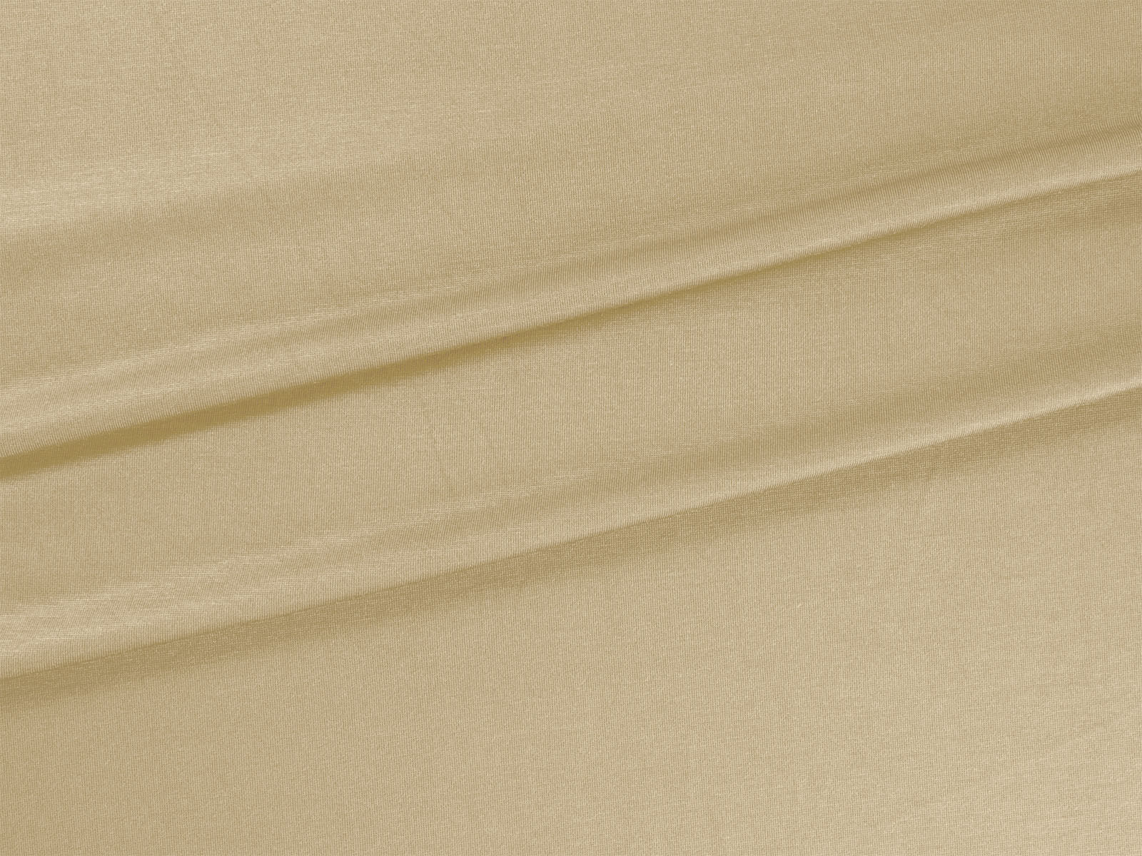 IMAGE_L
