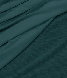 IMAGE_T
