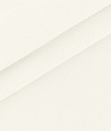 IMAGE_T