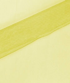 IMAGE_T