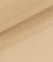 IMAGE_T