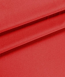 IMAGE_T