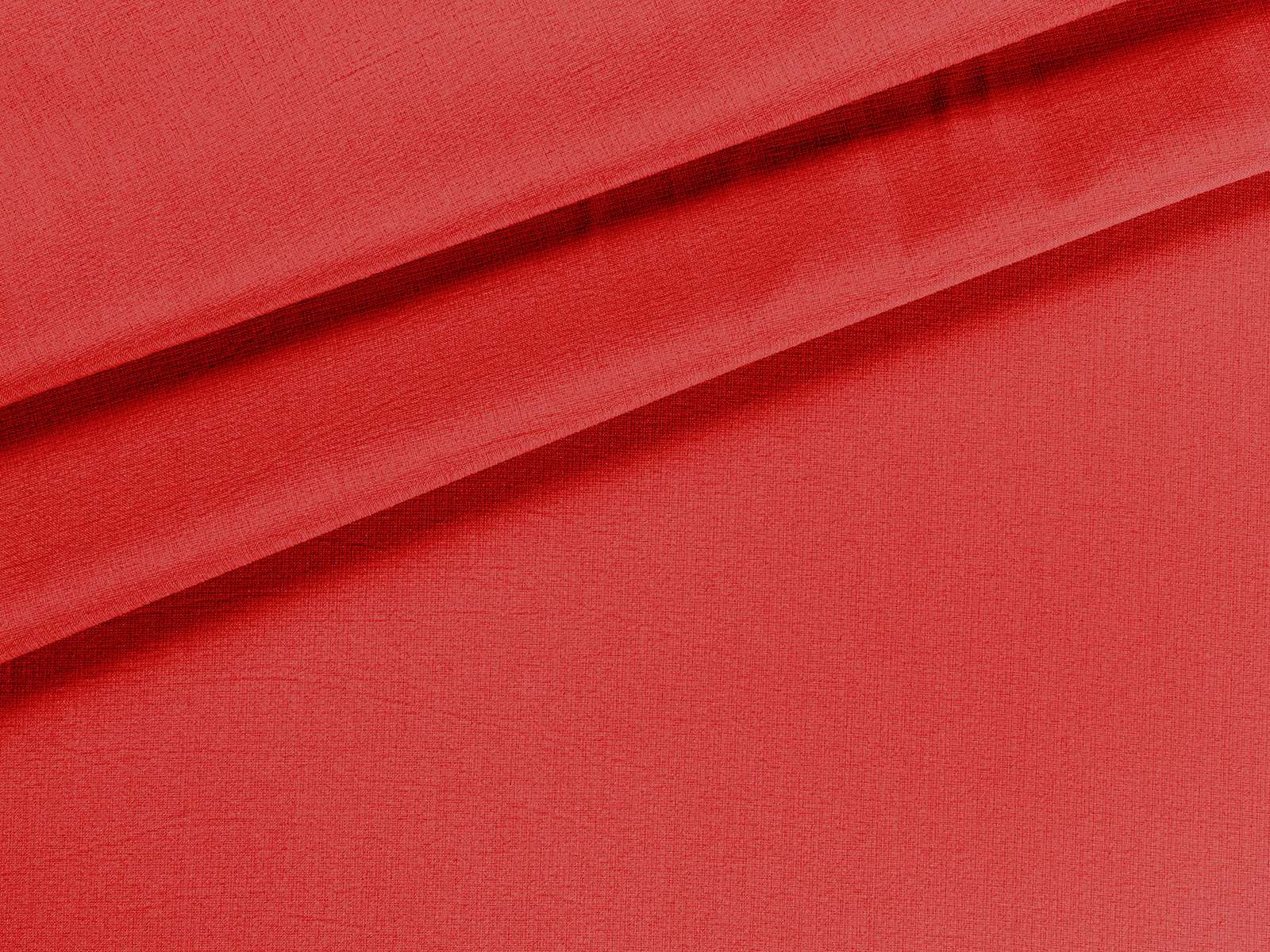 IMAGE_L