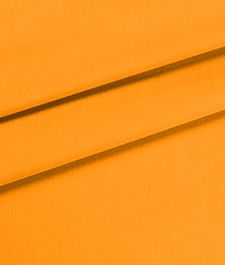 IMAGE_T