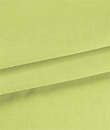 IMAGE_T