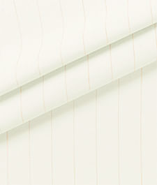 IMAGE_T