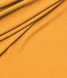 IMAGE_T