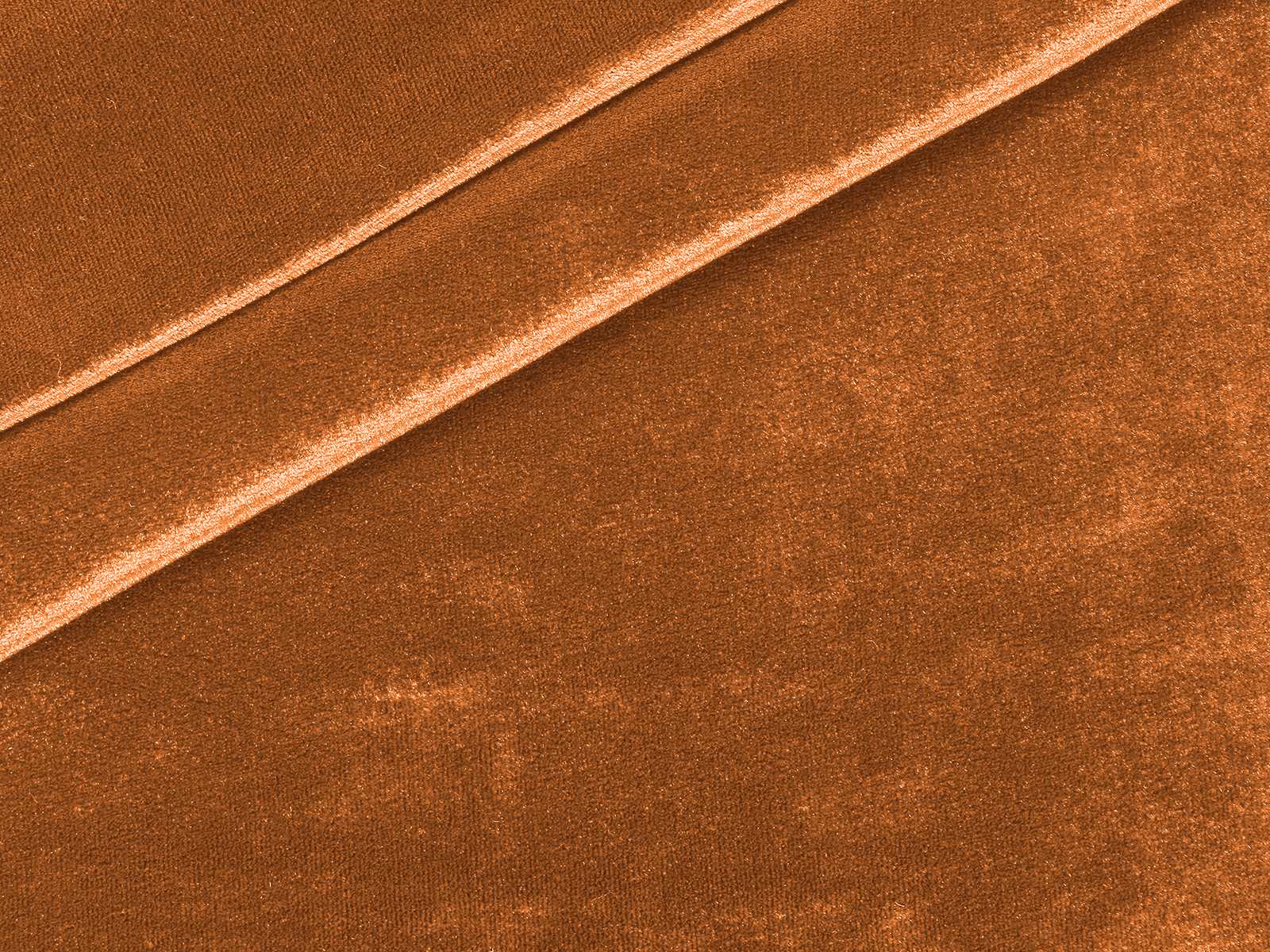 IMAGE_L