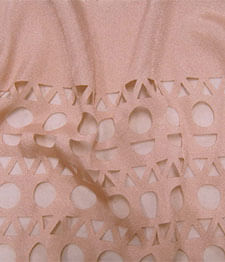 IMAGE_T