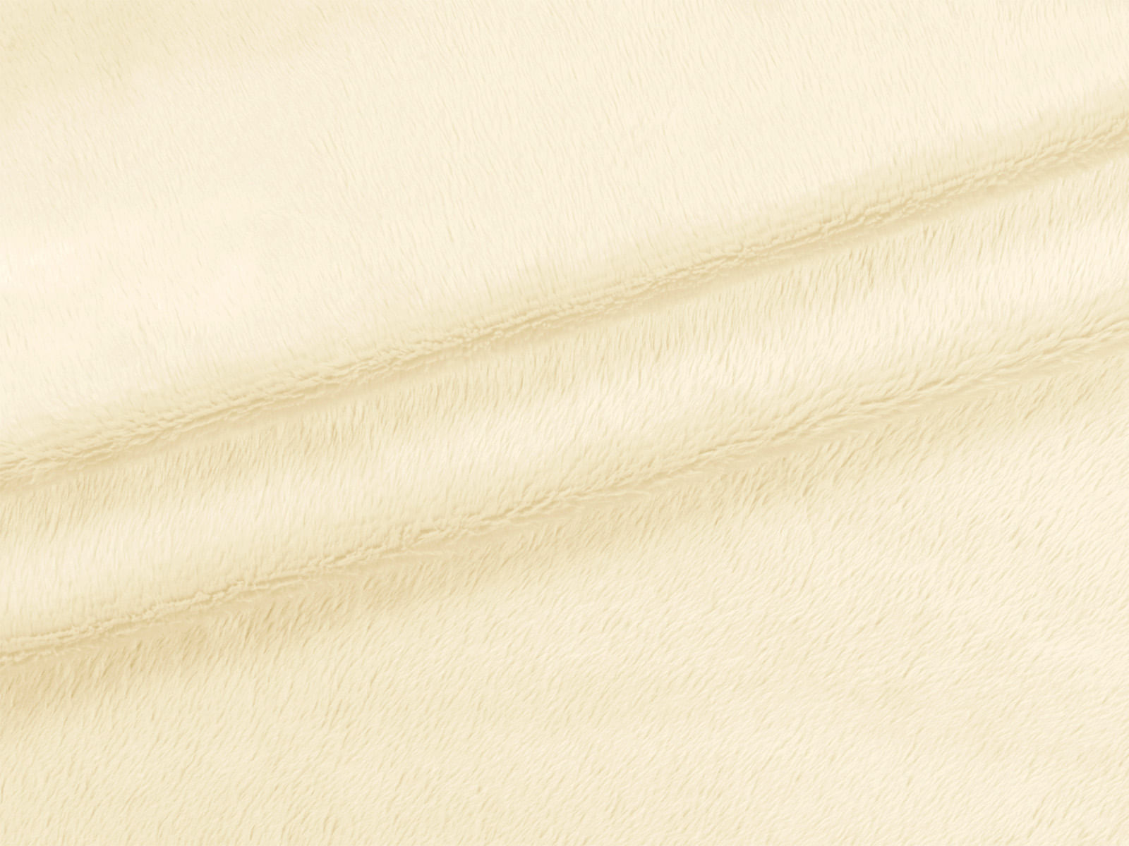 IMAGE_L