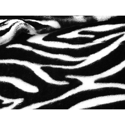 IMAGE_L