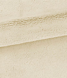 IMAGE_T