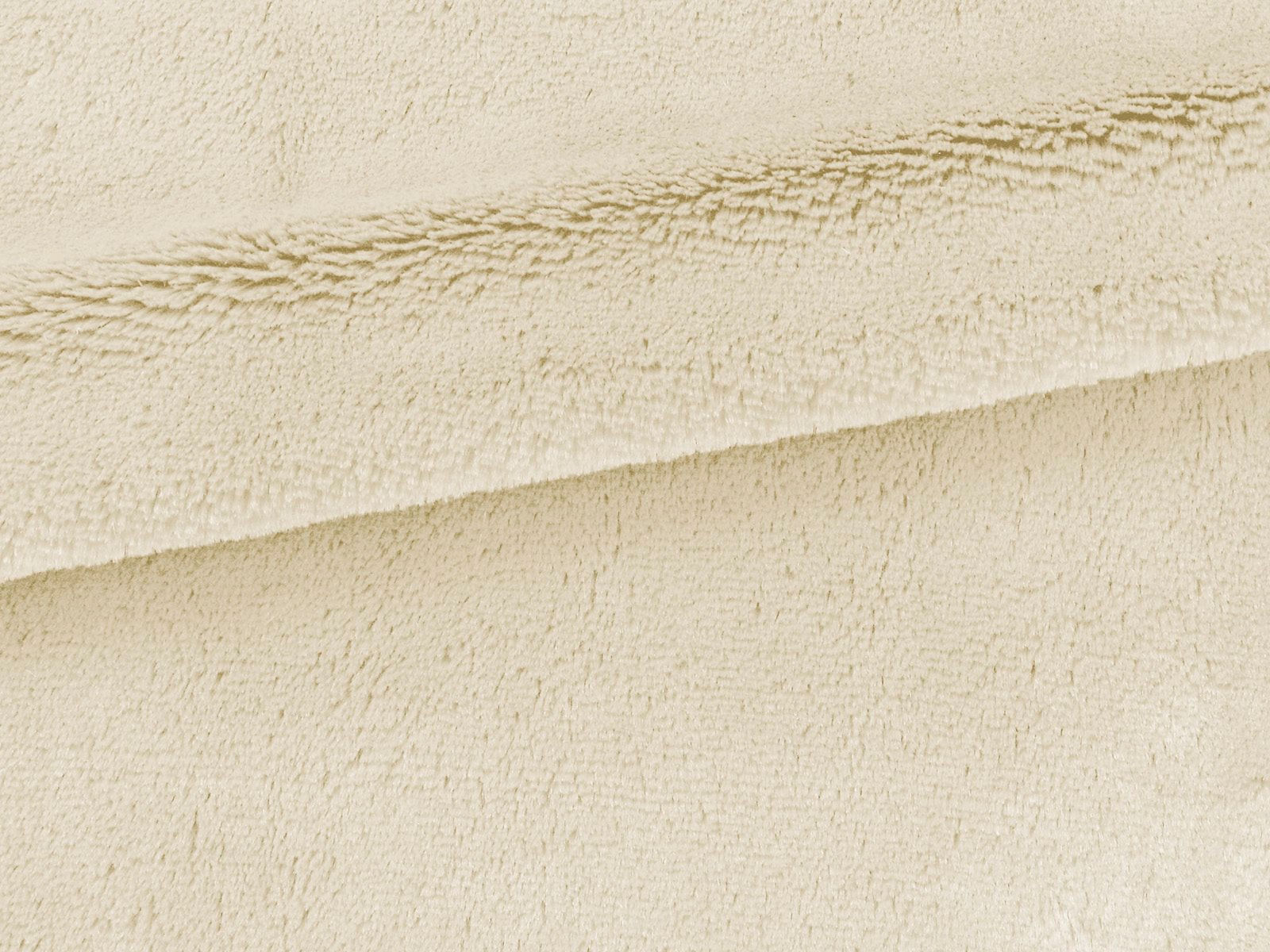 IMAGE_L
