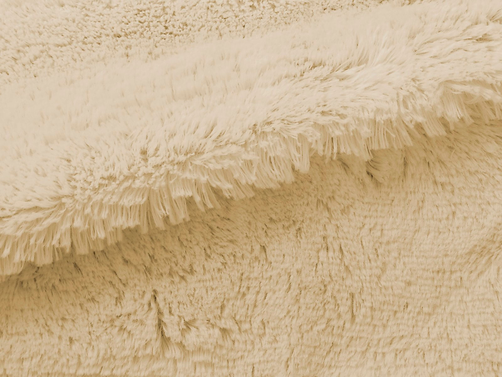 IMAGE_L