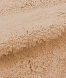 IMAGE_T
