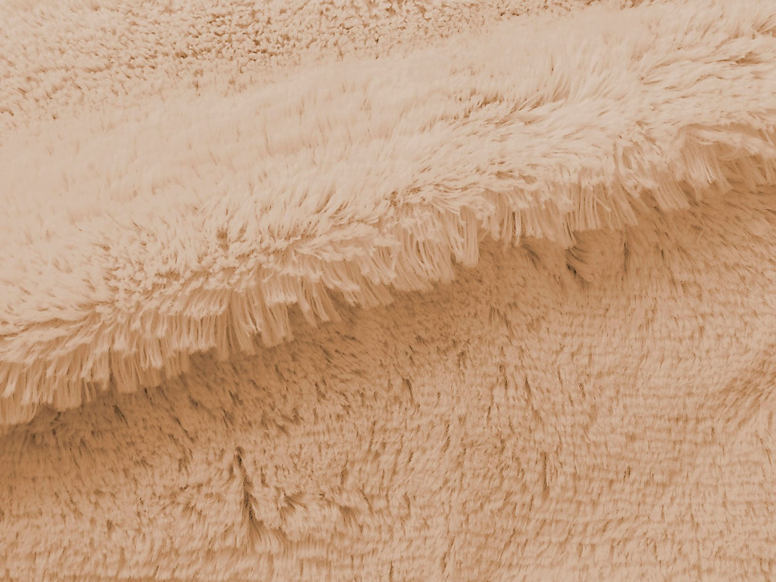 IMAGE_L