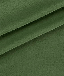 IMAGE_T