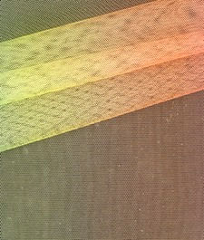IMAGE_T