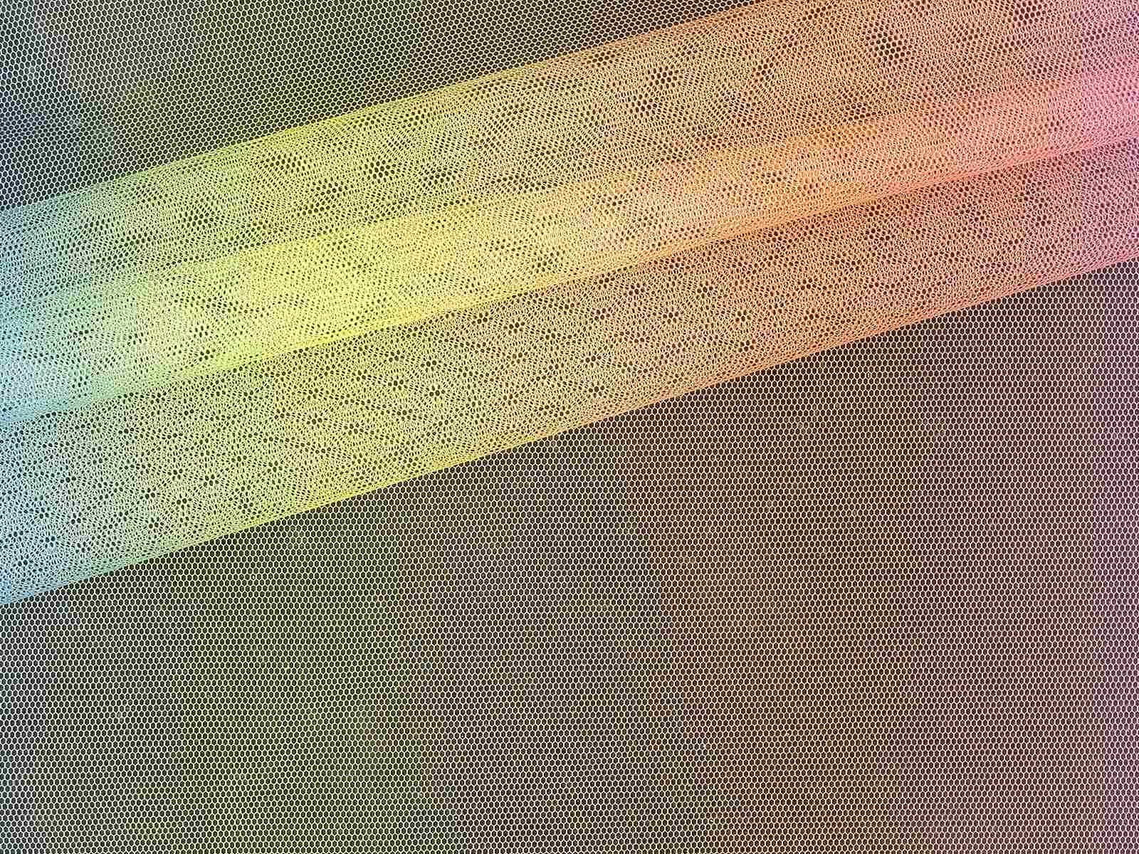IMAGE_L