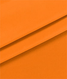 IMAGE_T