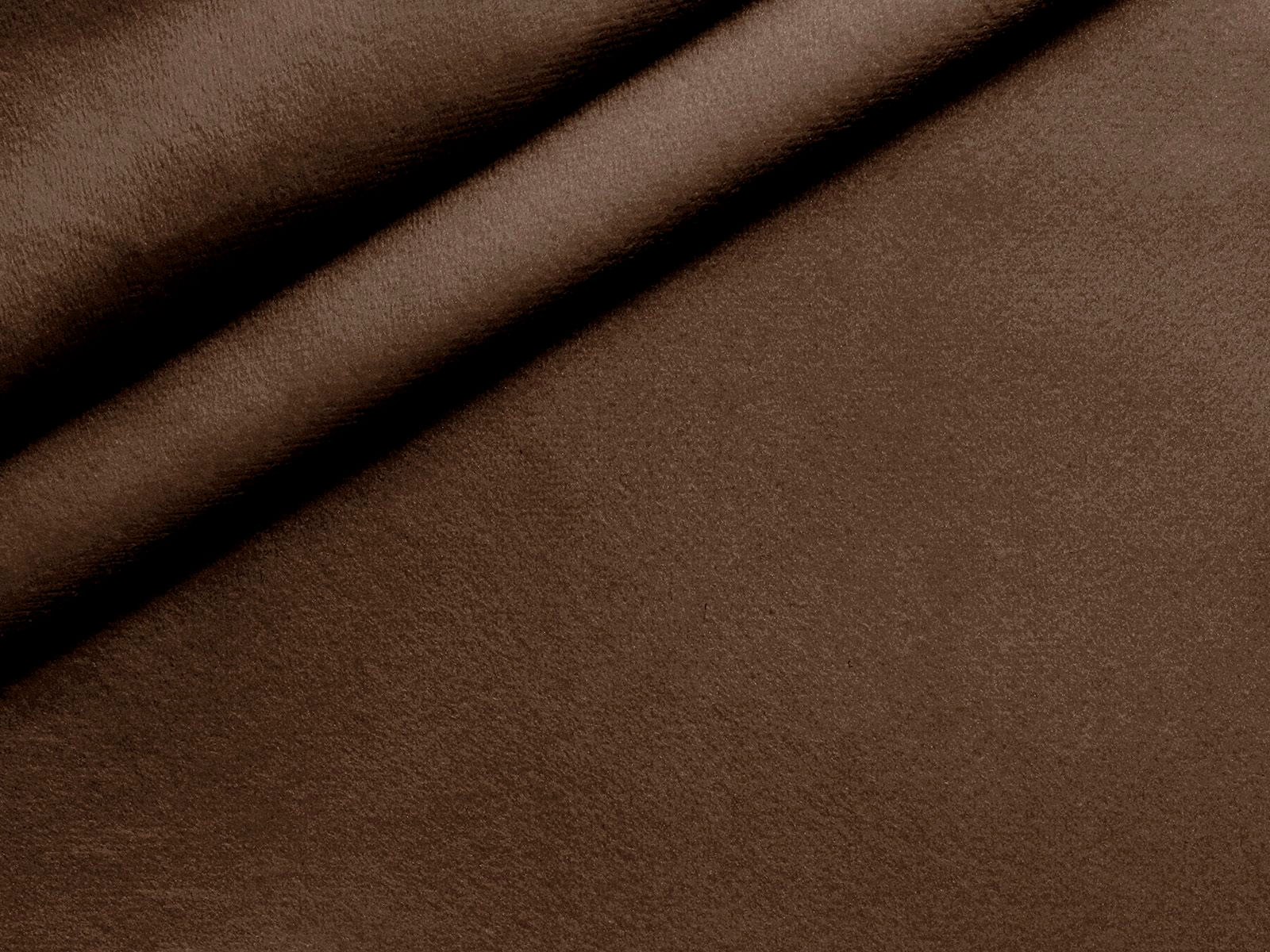IMAGE_L