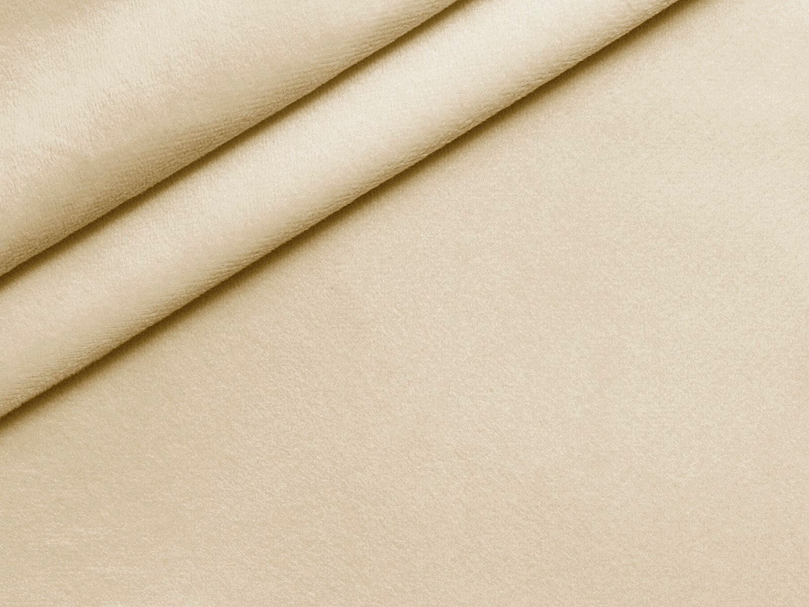 IMAGE_L