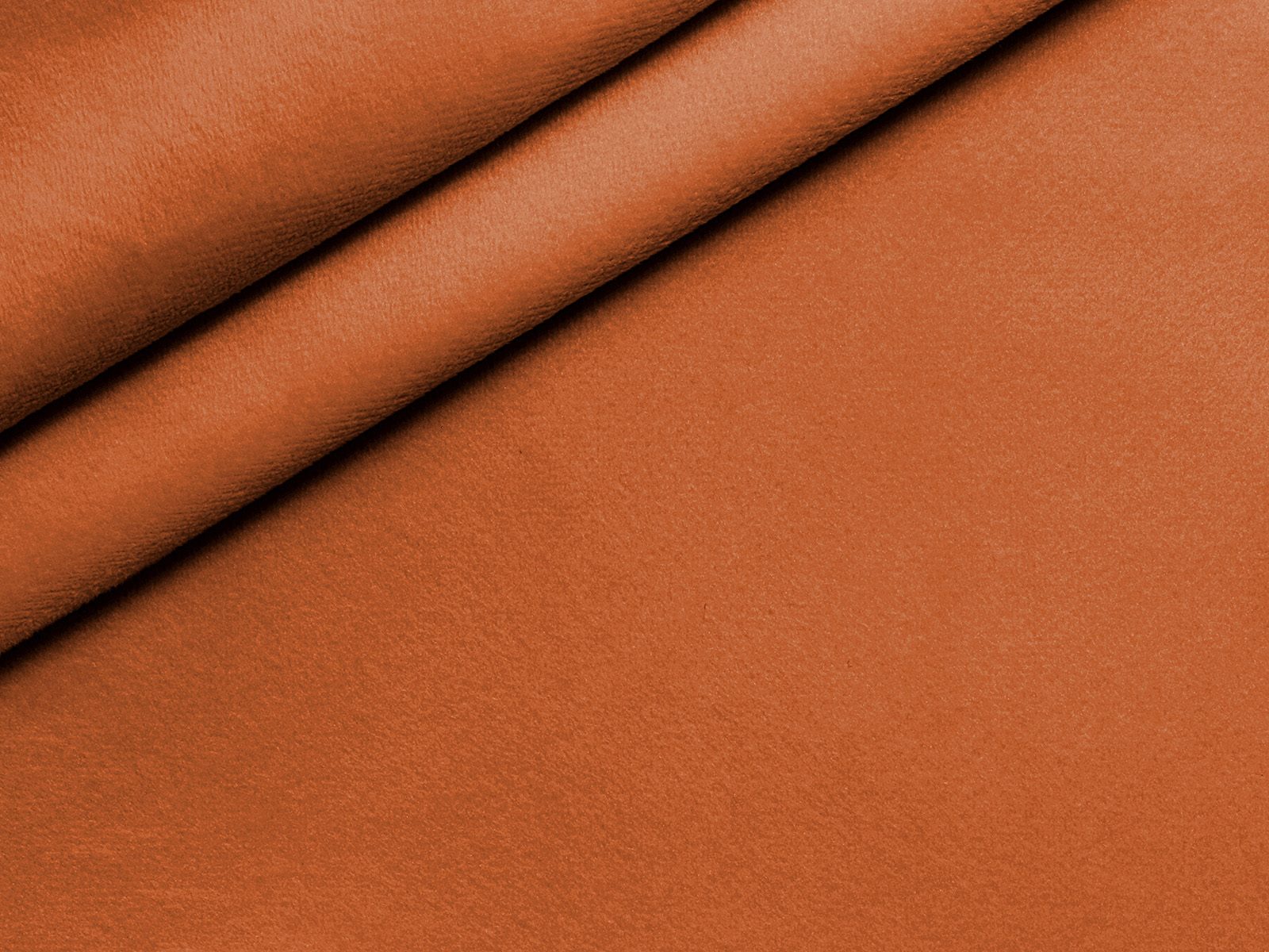 IMAGE_L