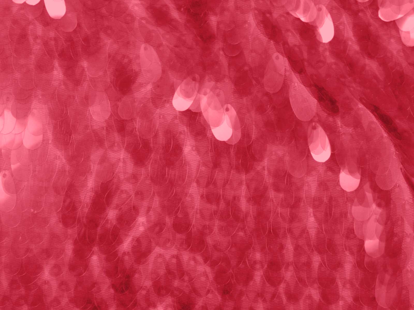 IMAGE_L