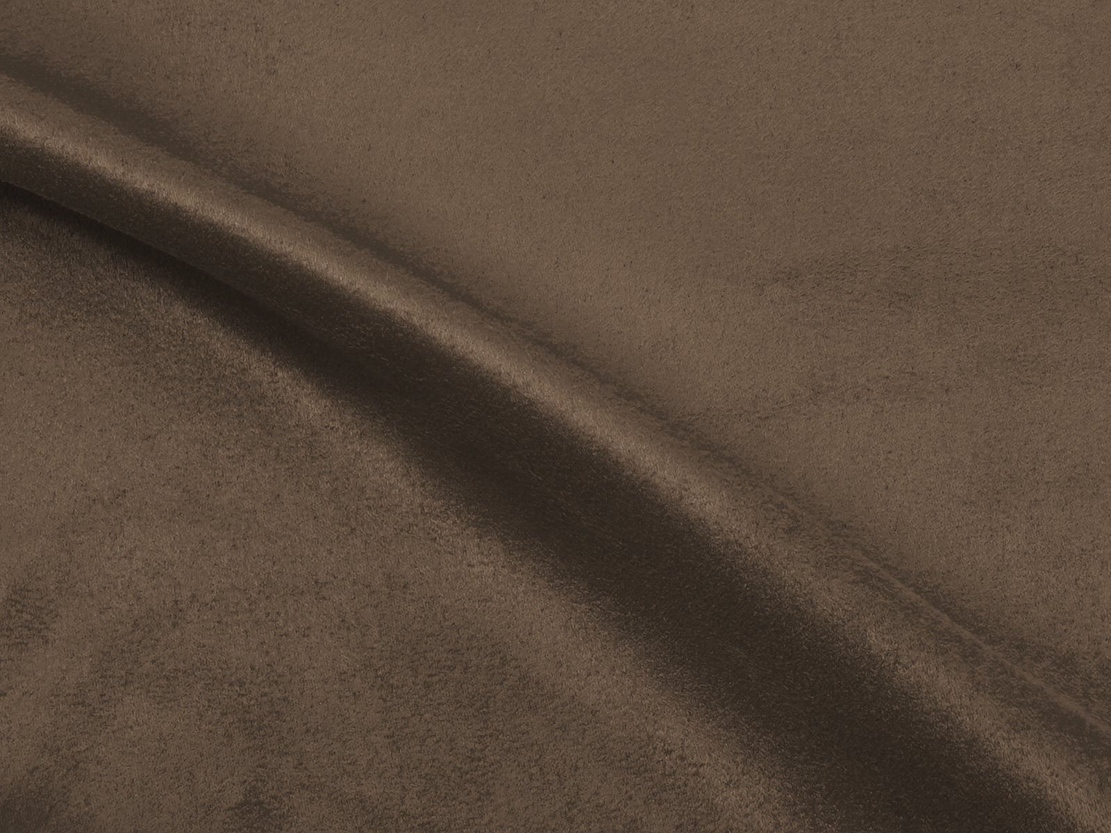 IMAGE_L