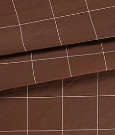 IMAGE_T
