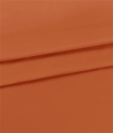 IMAGE_T